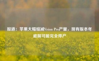 报道：苹果大幅缩减Vision Pro产量，现有版本年底前可能完全停产