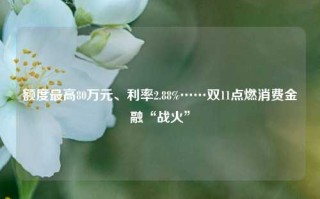 额度最高80万元、利率2.88%……双11点燃消费金融“战火”