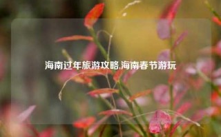 海南过年旅游攻略,海南春节游玩