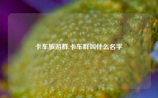 卡车旅游群,卡车群叫什么名字