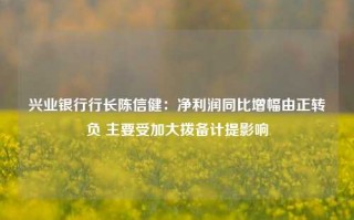 兴业银行行长陈信健：净利润同比增幅由正转负 主要受加大拨备计提影响