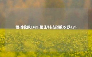 恒指收跌1.07% 恒生科技指数收跌0.2%