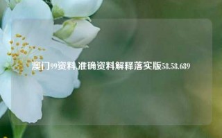 澳门99资料,准确资料解释落实版58.58.689