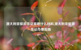 澳大利亚旅游签证需要什么材料,澳大利亚旅游签证办理指南