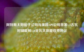 阿特斯太阳能子公司与美国APS公司签署1.8吉瓦时储能和150兆瓦太阳能收费协议