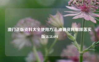 澳门正版资料大全使用方法,准确资料解释落实版58.58.694