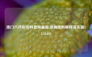 澳门六开彩资料查询最新,准确资料解释落实版58.58.689