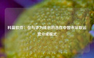 科蓝软件：在与华为钱包的合作中暂未采取运营分成模式