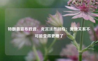 特朗普宣布胜选，克宫淡然回应：美俄关系不可能变得更糟了