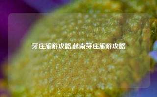 牙庄旅游攻略,越南芽庄旅游攻略