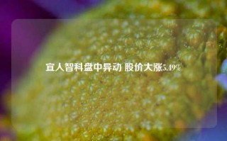 宜人智科盘中异动 股价大涨5.49%