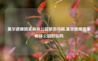 莫尔道嘎国家森林公园旅游攻略,莫尔道嘎国家森林公园好玩吗