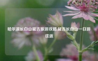 哈尔滨长白山延吉旅游攻略,延吉长白山一日游往返