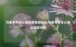 乌鲁木齐到云南旅游跟团报价,乌鲁木齐至云南自驾游攻略