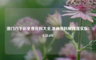 澳门六下彩免费资料大全,准确资料解释落实版58.58.698