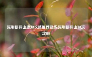 深圳梧桐山旅游攻略推荐路线,深圳梧桐山游玩攻略