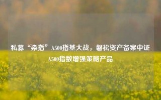 私募“染指”A500指基大战，磐松资产备案中证A500指数增强策略产品