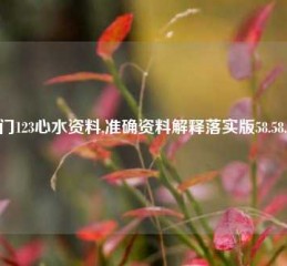 澳门123心水资料,准确资料解释落实版58.58.710