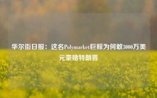 华尔街日报：这名Polymarket巨鲸为何敢3000万美元豪赌特朗普