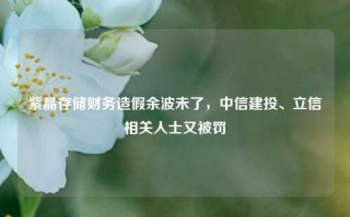 紫晶存储财务造假余波未了，中信建投、立信相关人士又被罚