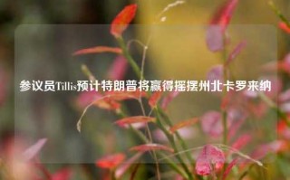 参议员Tillis预计特朗普将赢得摇摆州北卡罗来纳