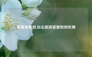 家里来旅游,出去旅游家里如何处理