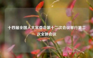 十四届全国人大常委会第十二次会议举行第二次全体会议