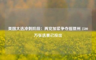 美国大选冲刺阶段：两党加紧争夺摇摆州 2500万张选票已投出