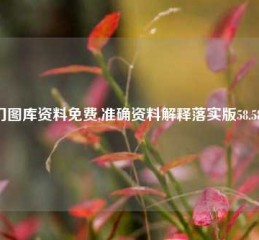 澳门图库资料免费,准确资料解释落实版58.58.720