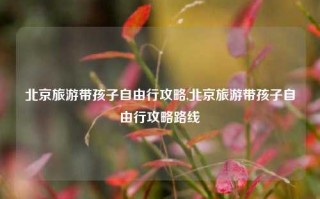 北京旅游带孩子自由行攻略,北京旅游带孩子自由行攻略路线