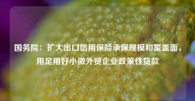 国务院：扩大出口信用保险承保规模和覆盖面，用足用好小微外贸企业政策性贷款