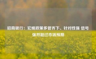 招商银行：宏观政策多管齐下、针对性强 信号强烈超过市场预期