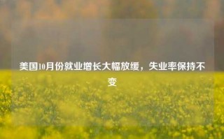 美国10月份就业增长大幅放缓，失业率保持不变