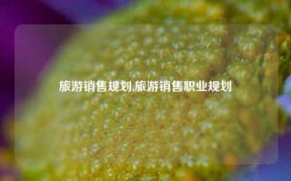 旅游销售规划,旅游销售职业规划