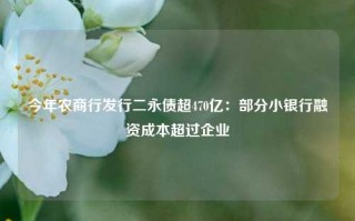 今年农商行发行二永债超470亿：部分小银行融资成本超过企业