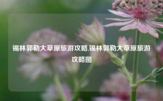 锡林郭勒大草原旅游攻略,锡林郭勒大草原旅游攻略图