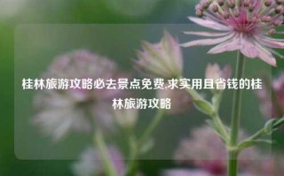 桂林旅游攻略必去景点免费,求实用且省钱的桂林旅游攻略