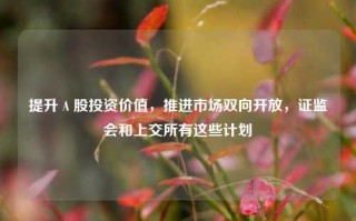 提升Ａ股投资价值，推进市场双向开放，证监会和上交所有这些计划