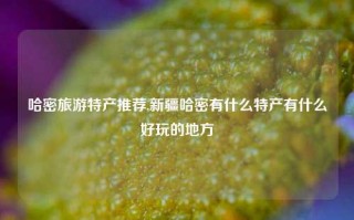 哈密旅游特产推荐,新疆哈密有什么特产有什么好玩的地方