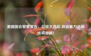 美国国会警察警告：总统大选后 政治暴力活动或将加剧！