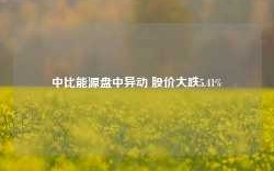 中比能源盘中异动 股价大跌5.41%