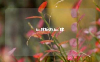 fun肆旅游,fun 肆