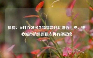 机构：10月百强房企销售额环比增近七成，核心城市销售回稳态势有望延续