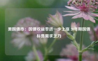 美国债市：国债收益率进一步上涨 20年期国债标售需求乏力