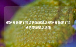 张家界是哪个省份的旅游景点,张家界是哪个省份的旅游景点地图