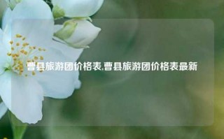 曹县旅游团价格表,曹县旅游团价格表最新