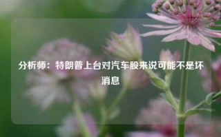 分析师：特朗普上台对汽车股来说可能不是坏消息