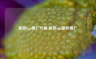 旅游app推广方案,旅游app宣传推广