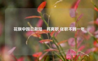 花旗中国总裁陆烜将离职 任职不到一年