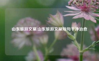 山东旅游文案,山东旅游文案短句干净治愈